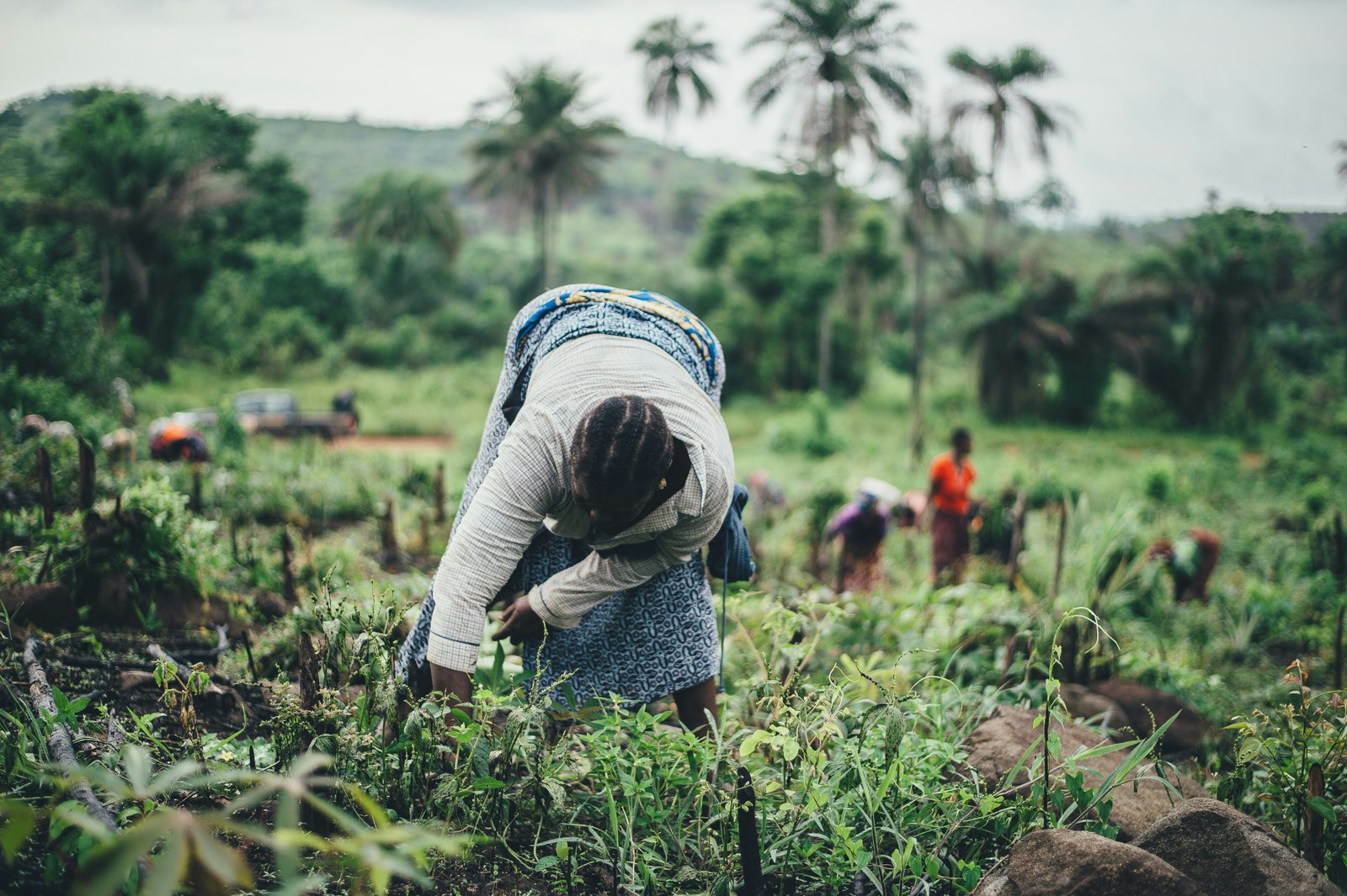 woman holding crops