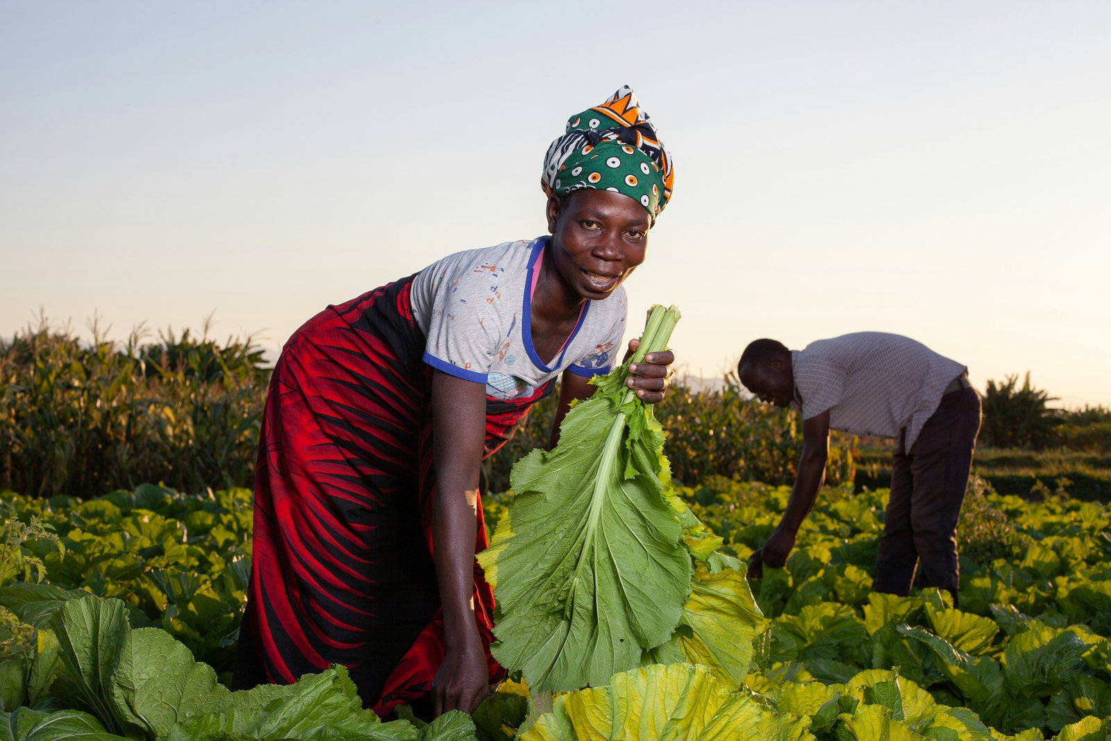 Women farming together