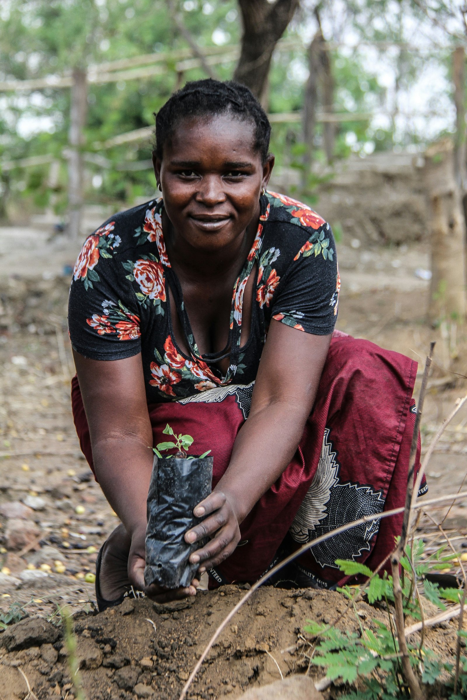 tree planting